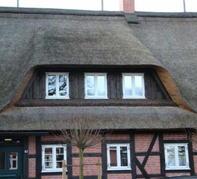 12- img-3117-700x525-v1-rm0-x1920